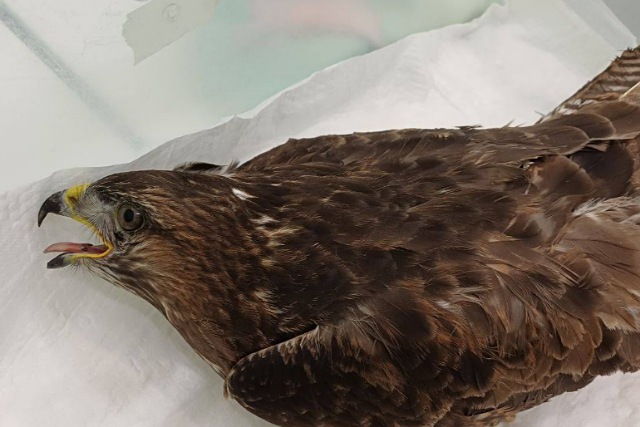 �� ����� �������, �� ������� ���������