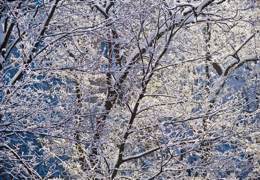 ������������� ������ � �������������� �����