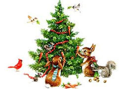 ���� ������� ������ �� ��������� ���������� ��������