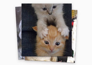 ���������� � ������� �� Gorod.dp.ua!