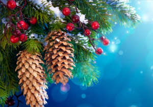 � ���������������� �� ������ ���������� ���������� ������� ��������� ���������, �������� � ������-������