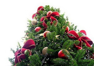 25 ������� ��������� �������� ������� ���� ����������������