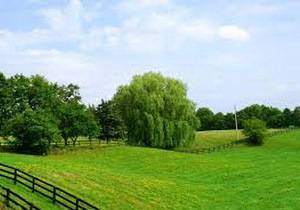 ����� ��� ����������������� ������� �����������