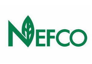 � ��������������� ��������� ������ ����������� ���������� � ����� 91 ������ ����