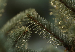 � ���������������� ��������� 12 ������� �������