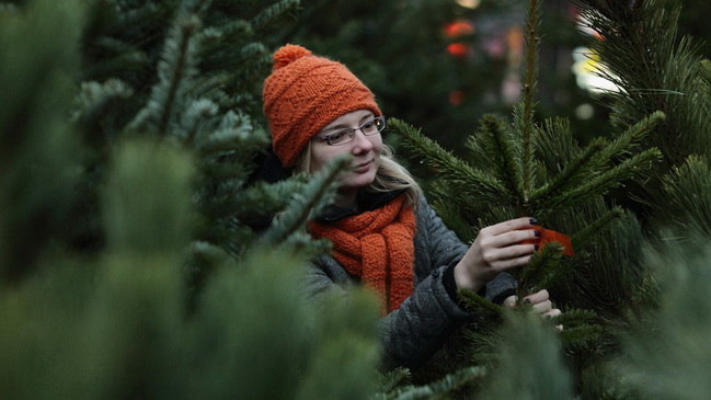 ������� ������� � ��������� ��������� 15 �������