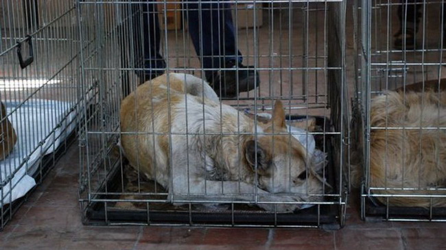 � ��������� �������� ���������� ������ ��������� �� ���������� ����������� ��������� ��������