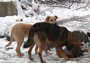 � ������ ���� ������ ��������� ��������