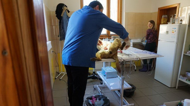 � ��������� ������������ ������������ ��������� ��������