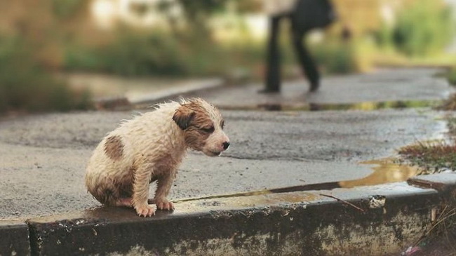 � ��������� ����� ���������, ��� ������� �������� ��������