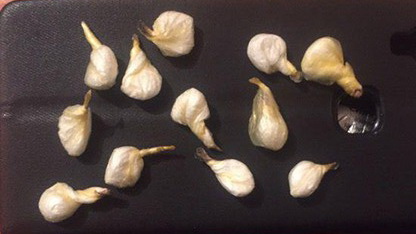 ��������������� ����������� ������������� ����� ����� ���������� ����� �������� � ������ � ���������