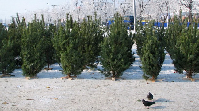 � ����������� ���������� ������� �������