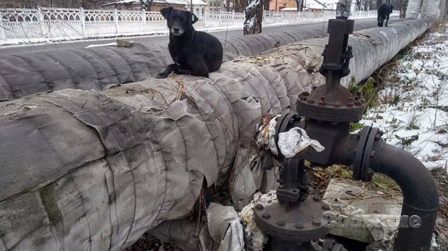 � 2019 ���� ���������  �� ���������� �������� 110 ��� ������ �� ��������� ��������������