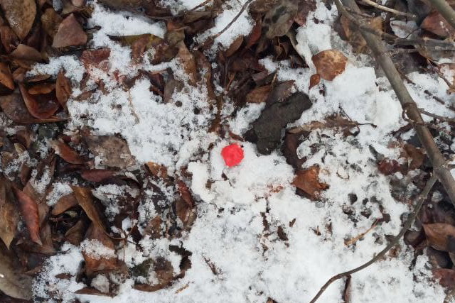 С помощью чат-бота Drug Hunters патрульные нашли закладки