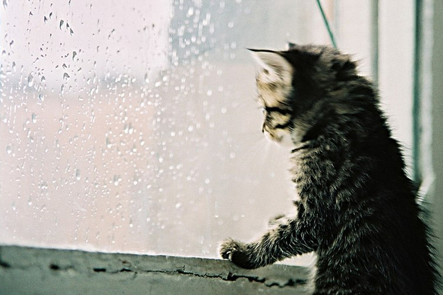 иллюстративное фото из открытых источников Туман и похолодание: прогноз погоды по Днепропетровщине на первую неделю зимы