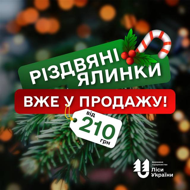 На Днепропетровщине лесхозы уже начали продажу елок