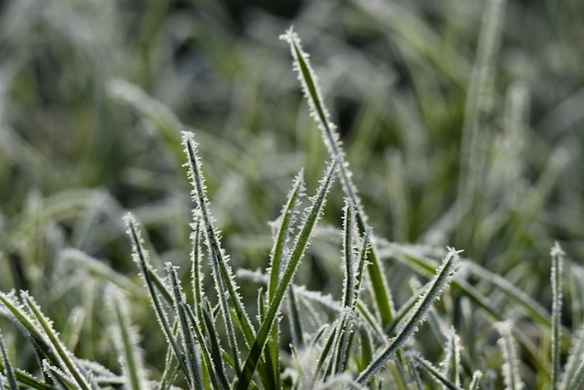 Начало декабря на Днепропетровщине выдалось теплее на 3,5-4,5° от нормы