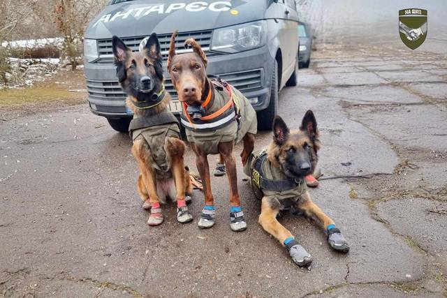 Как в Павлограде искали погибшего воина