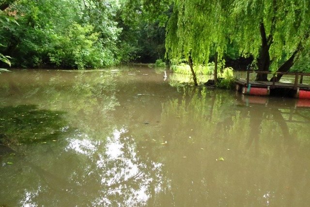 Секреты древнего пруда в Аптекарской балке Днепра