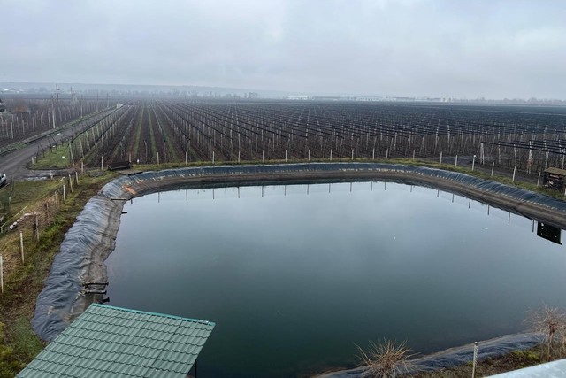 �� �� ������� ��������� ������� ����