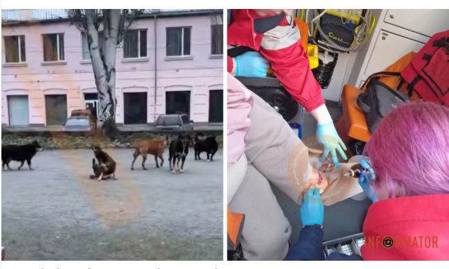 ����� ������������� ����� �������� ���� �� ������ ����� �������������� � �����