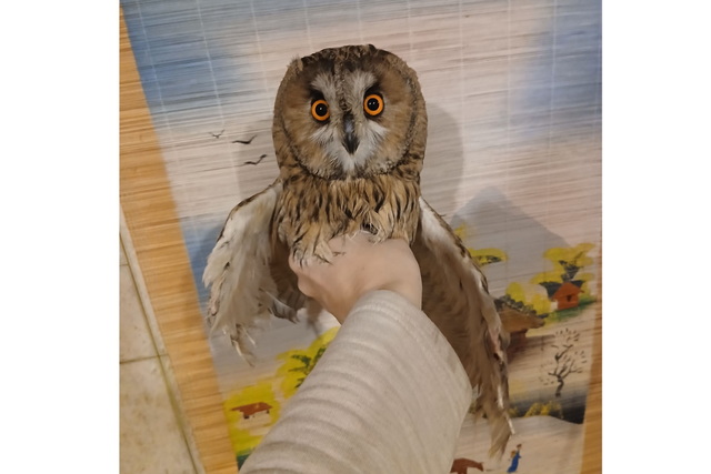 � ����� ������� ����� FPV-���