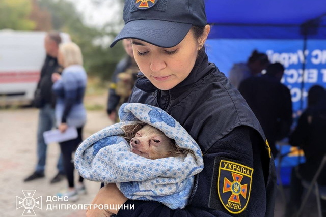 #����_���_����: ������� ������� - ����������� ���� � ������� ��� 