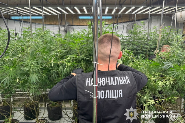 ���������� ����� ��� ����������������: � ������ ����������� ����������� ������� �� ���������� ����������� �������