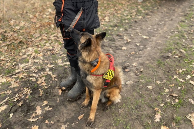 ����� �������� ����� ������ ������� ������������