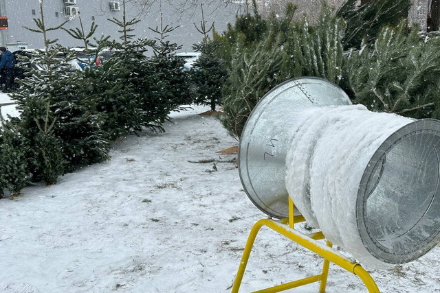 �� 8 ����� �� ������: � ������ ���� �� ���� ���� �������