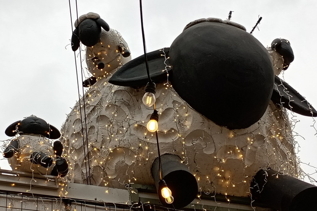 Дахами Дніпра розгулює стадо овець