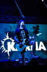 Kozak FEST-2018